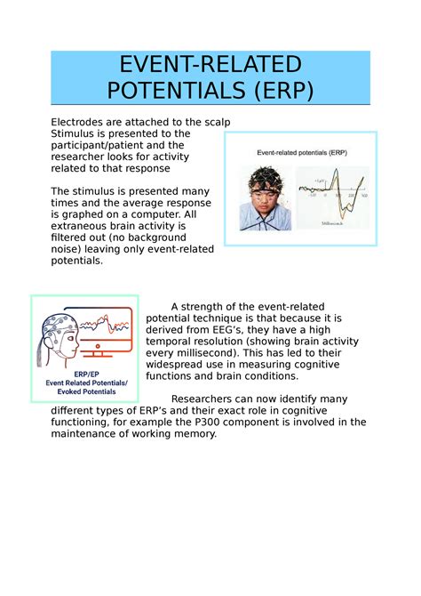 Event Related Potential Event Related Potentials Erp Electrodes