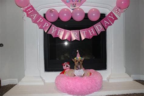 Girl Paw Print Birthday Dog Hat Baxterboo