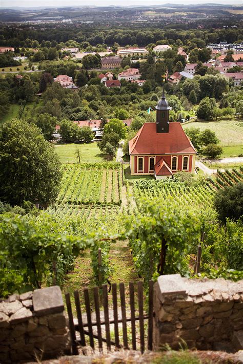 Reiseforum sachsen fotos sachsen karte sachsen. Sachsen - German Wines USA