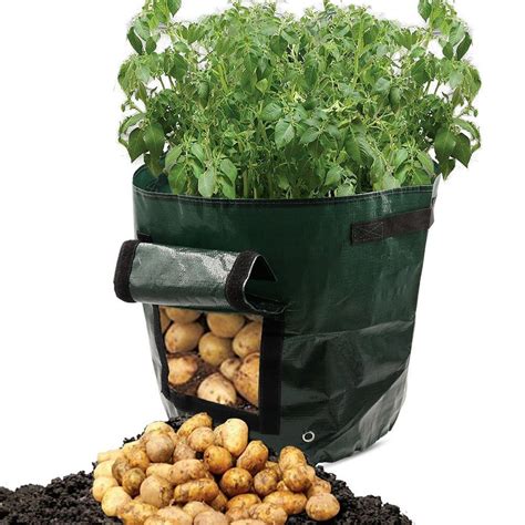 2 Pack 10 Gallon Potato Grow Bags Plant Growing Bags With Handles