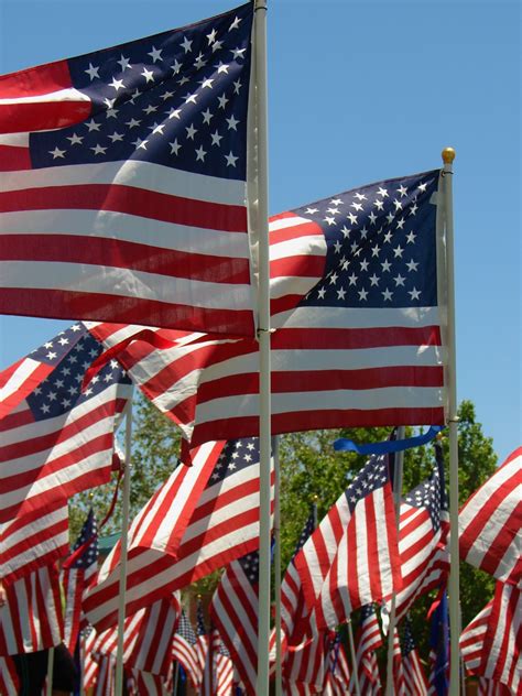 American Flags On Memorial Day Free Stock Photo Public Domain Pictures