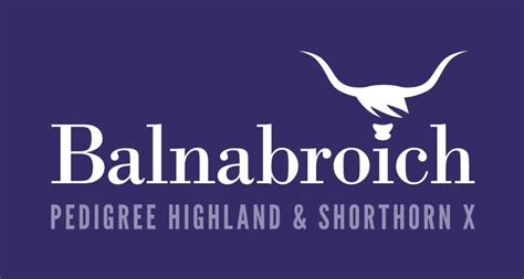 Naturally Raised Highland Beef Pedigree Highland Shorthorn X Strathardle Perthshire Scotland