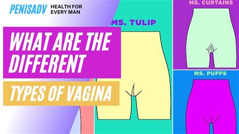 What Are The Different Types Of Vagina Youtube