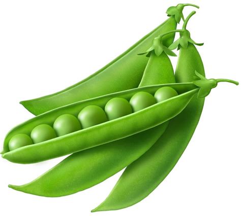 Peas Clipart Free Download On Clipartmag