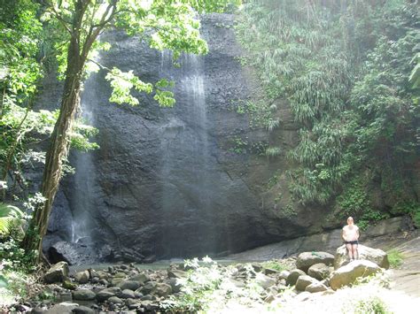 Hike The Des Cartiers Rainforest Trail In Saint Lucia Half Day 12