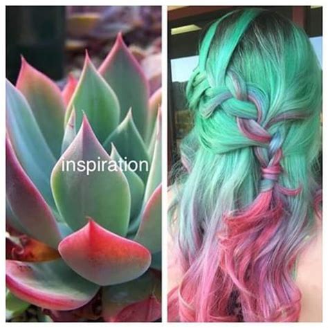 Succulent Hair Is The Newest Must-Try Dye Trend in 2020 ...