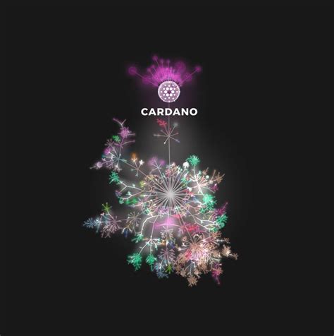 Криптовалюта cardano (ada) скоро взарвется! Cardano Wallpaper - Wellness Beauty Centre By Francesco ...