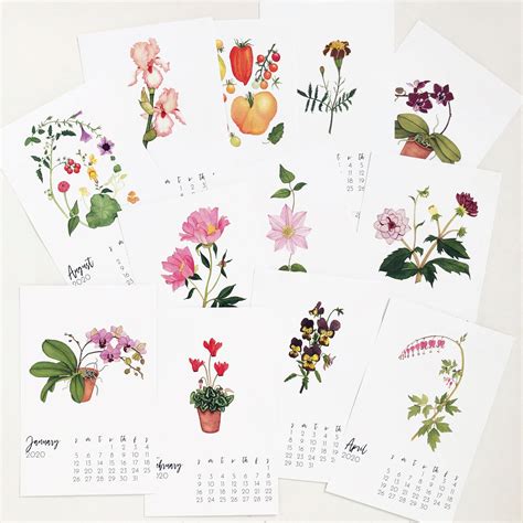 2020 Botanical Watercolor Calendar By Anne Butera Watercolor Calendar