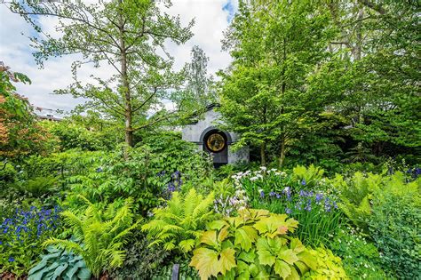 Chelsea Flower Show Gardens Created To Enhance Wellbeing The BMJ