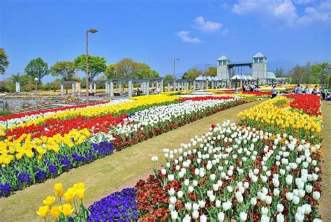 Parque Floral De Gunma Travel Japan Organización Nacional De