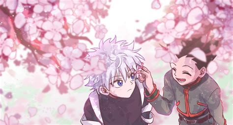 Under The Cherry Blossoms Hunter Anime Anime Computer Wallpaper