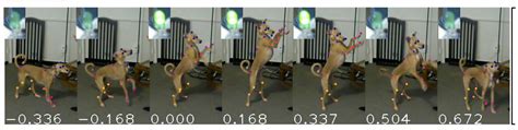 Animals Come To Life With Marker Less Motion Capture