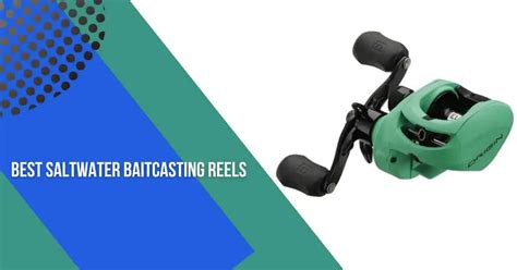 Top 5 Best Saltwater Baitcasting Reels Buying Guide