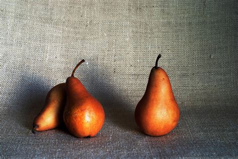 Bosc Pears Still Life Photograph By Vishwanath Bhat Fine Art America