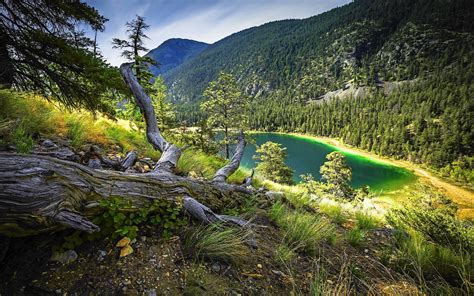 Download Wallpapers Mountains Tree Beautiful Lake Turquoise Lake For