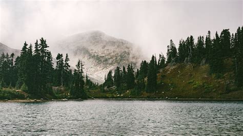 A Foggy Mountain Near A Lake In North Cascades National Park Misty
