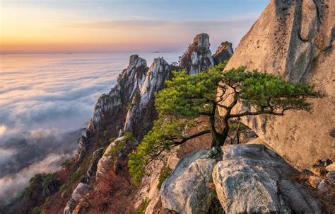 Wallpaper Clouds Landscape Mountains Nature Stones Tree Morning