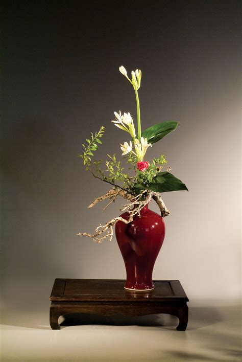 Free Photo Chinese Flower Arrangement Anther Petals Varied Free