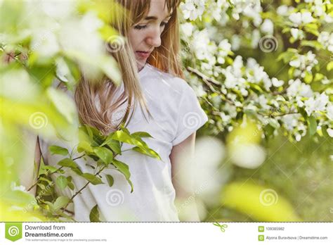 Girl In Blossoming Apple Tree Spring Flowering Apple Tree A Beautiful Young Woman In A White T