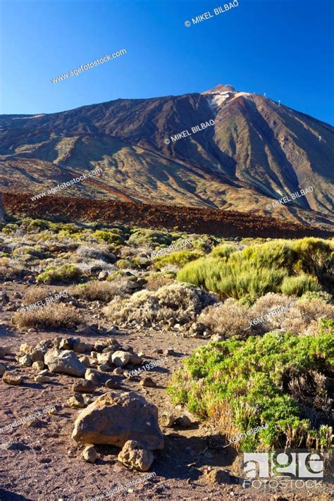 Teide Volcano And Lava Formation Teide National Park La Orotava