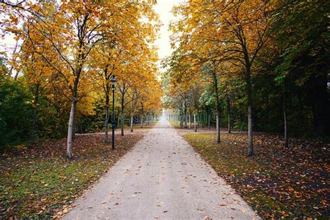 Gorgeous Park During Fall With Yellow And Green Trees Running Along