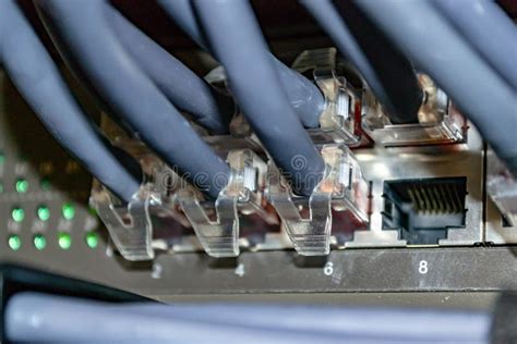Varios Cables Lan Conectados A La Red De Comunicación Formada Por Conmutador Ethernet Imagen De