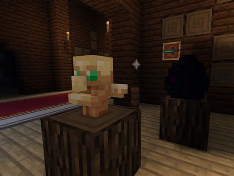 Every player of minecraft wants to know about the totem of undying minecraft item. The Totem of Undying can be placed as a trophy (concept ...
