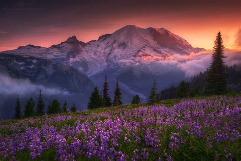 Check spelling or type a new query. Violet Crown | Landscape photography, Lake photography ...