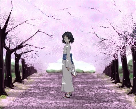 fond d écran anime filles anime fleur de cerisier kimono printemps kara no kyoukai