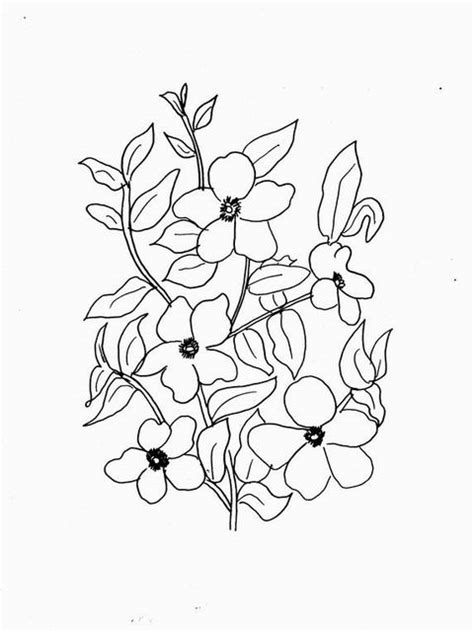 Il fiore sta alla base della riproduzione e dell'impollinazione. disegni fiori