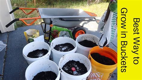 The Best Way To Grow Vegetables In 5 Gallon Buckets Self Wicking
