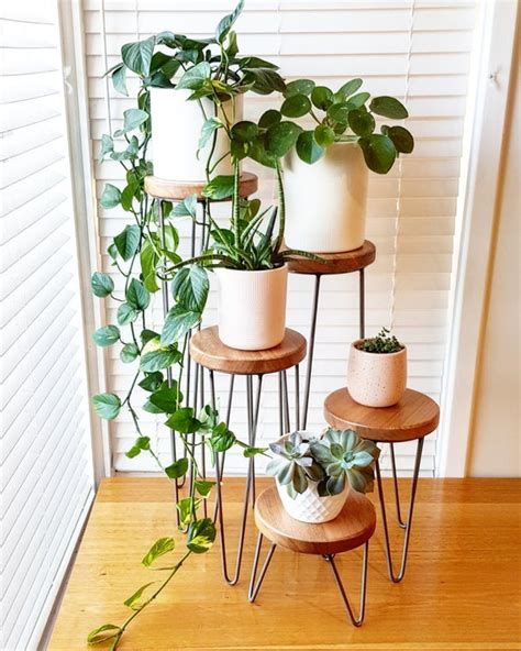 Best Plant Stands For Indoor Plants