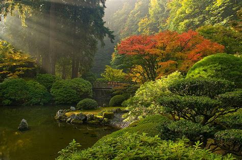 1920x1080px 1080p Free Download Japanese Garden Fall Autumn