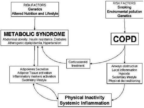 Pathogenic Mechanism Linking Between The Risks Factors Of COPD And