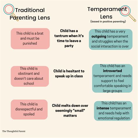 Understanding Your Childs Temperament The Thoughtful Parent In 2021