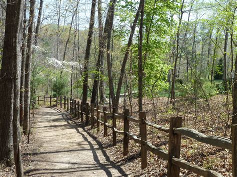 Made popular by farmers in america during the nineteenth century, this type of fence was replaced by the cheaper barbed wire which proved to be more effective. Beautiful trail with split rail fence. NC Arboretum ...