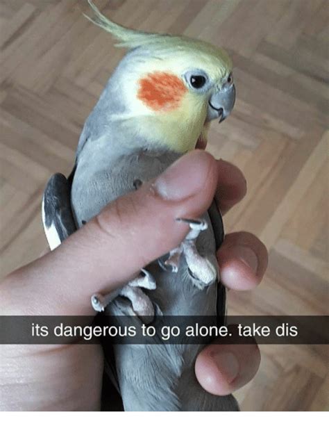 Its Dangerous To Go Alone Take Dis Being Alone Meme On Meme
