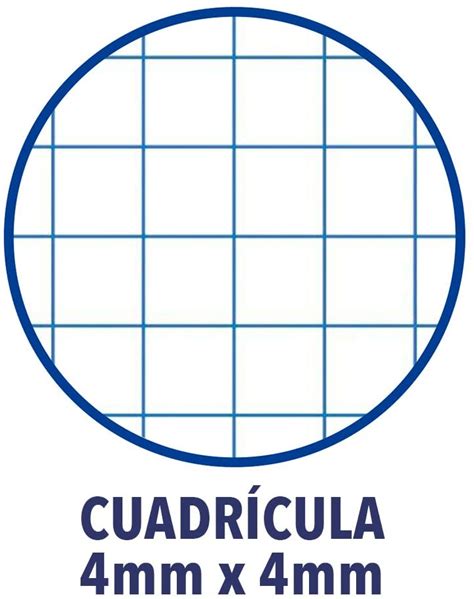 Può succedere che si sia a corto di fogli a quadretti, più utili di un semplice foglio bianco per prendere appunti o accennare un disegno tecnico. Fogli A Quadretti Stampa : Fogli A Quadretti Da Stampare Mamma E Casalinga - Seleziona le ...