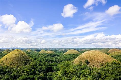 Things To Do In Bohol Philippines Alexis Jetsets Chocolate Hills In