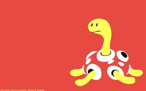 Shuckle Hd Wallpapers Wallpaper Cave