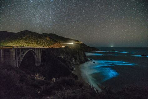 With its iconic bridge, historic cable cars, and beautiful victorian architecture, san francisco is undeniably one of the world's great cities. Bioluminescent waves glowing in Big Sur | Big sur, Big sur ...