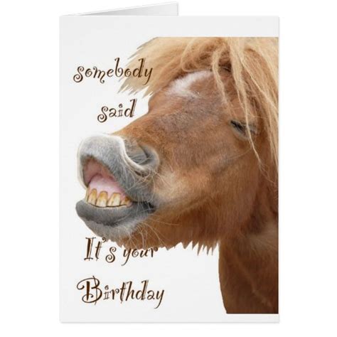 Funny Horse Birthday Card Zazzle
