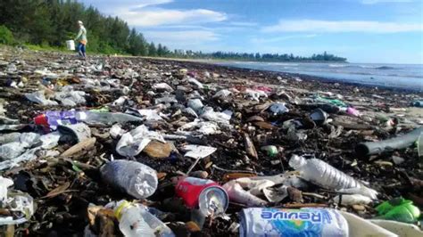 Malaysia Returns 3000 Tonnes Of Plastic Waste To U S France Others