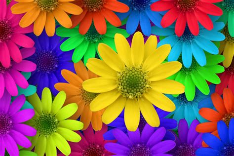 Colorful Flower Screensavers Colorful Flower Art Wallpapers Top Free