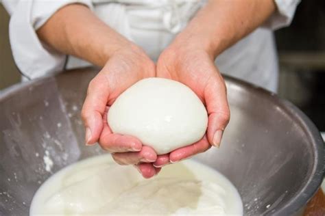 Private Mozzarella Making Class — Summit Cheese Shoppe