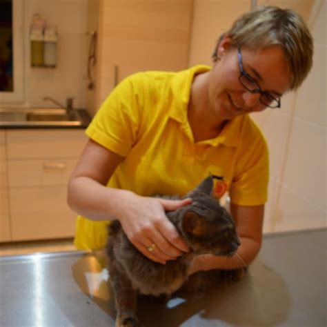 Gesundenuntersuchung Tierarztpraxis Birgit Dumhart