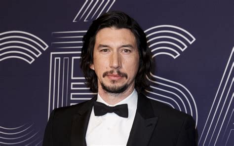 Thats Adam Driver Cat Who Looks Like Star Wars Actor Stuns Internet