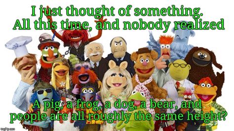 Muppets Memes Imgflip