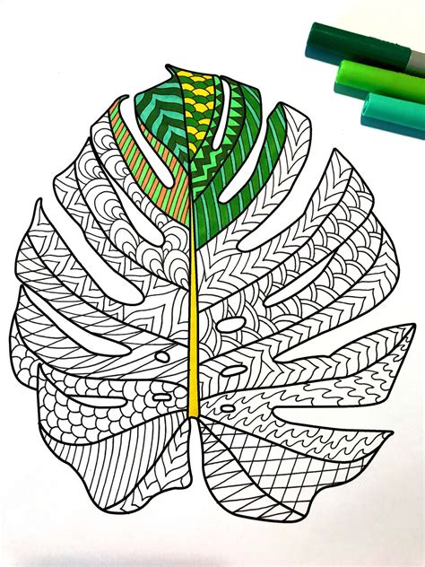The first is labeled download which will prompt you to download the pdf version of this coloring page. Monstera Deliciosa Leaf PDF Zentangle Coloring Page | Etsy