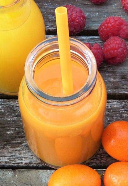 The healthy mummy pregnancy smoothie is designed to complement, not replace, your prenatal vitamin intake. 5 Healthy Pregnancy Smoothie Recipes that'll Help You Feel Less Sick